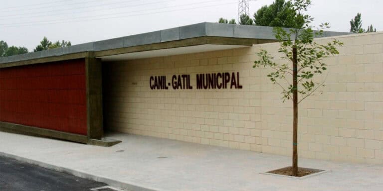 Sociedade Protetora dos Animais desespera por melhores condições no CRO de Guimarães