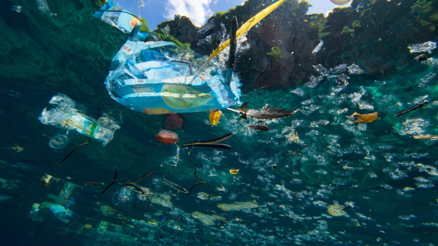 Dia da Terra mobiliza ações para "investir no planeta" doente