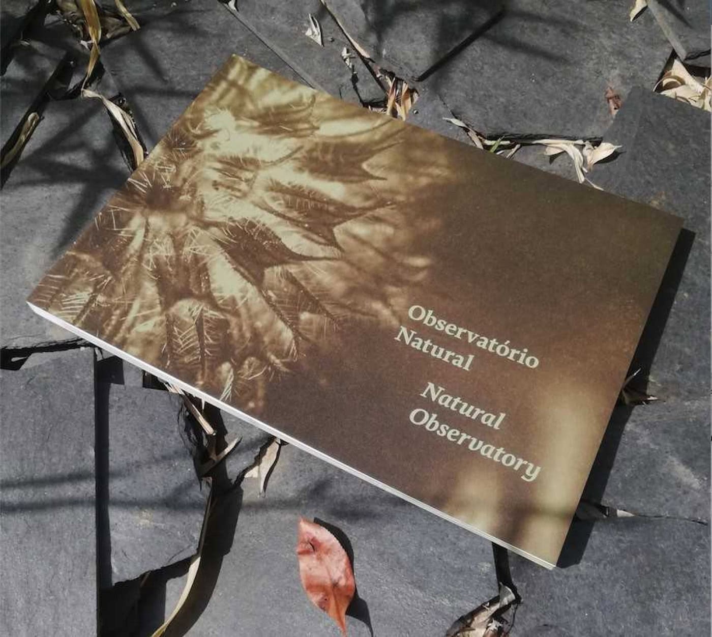 “Observatório Natural” apresentado hoje no Laboratório da Paisagem