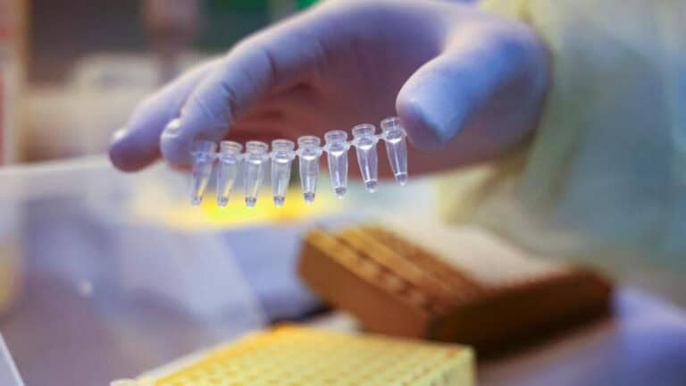 Média diária em Portugal volta a subir para mais de 29 mil casos de Covid