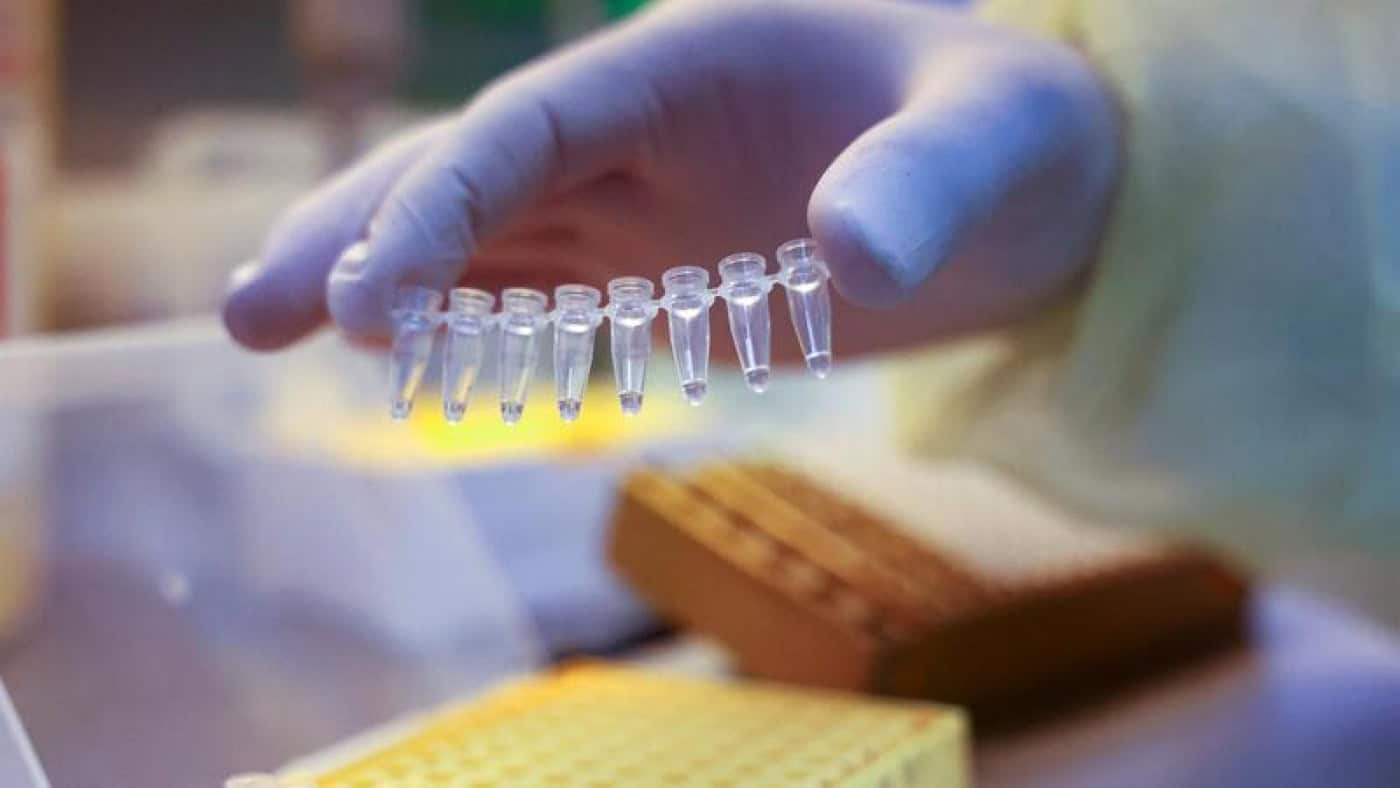 Média diária em Portugal volta a subir para mais de 29 mil casos de Covid