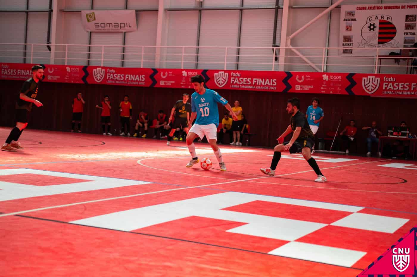 Quatro equipas da AAUMinho lutam pelo ouro nos CNU's