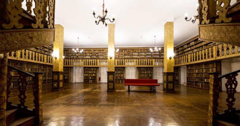 Está a chegar o TrêsPê, Festival que quer incluir o público na criação