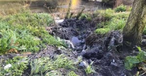 Descargas no Rio Ave. PAN Famalicão apresenta queixa ao SEPNA