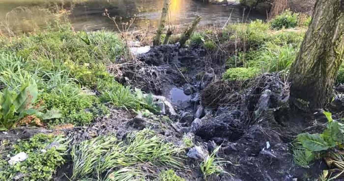 Descargas no Rio Ave. PAN Famalicão apresenta queixa ao SEPNA