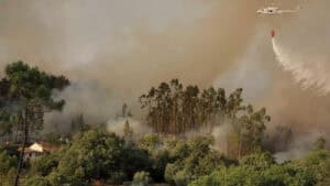 Mais de 80 concelhos de 10 distritos em perigo máximo de incêndio 