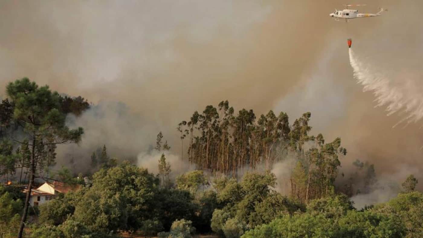 Mais de 80 concelhos de 10 distritos em perigo máximo de incêndio