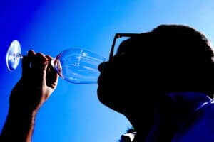 Vinho Verde Fest bate recordes com mais de 20 mil provas em três dias