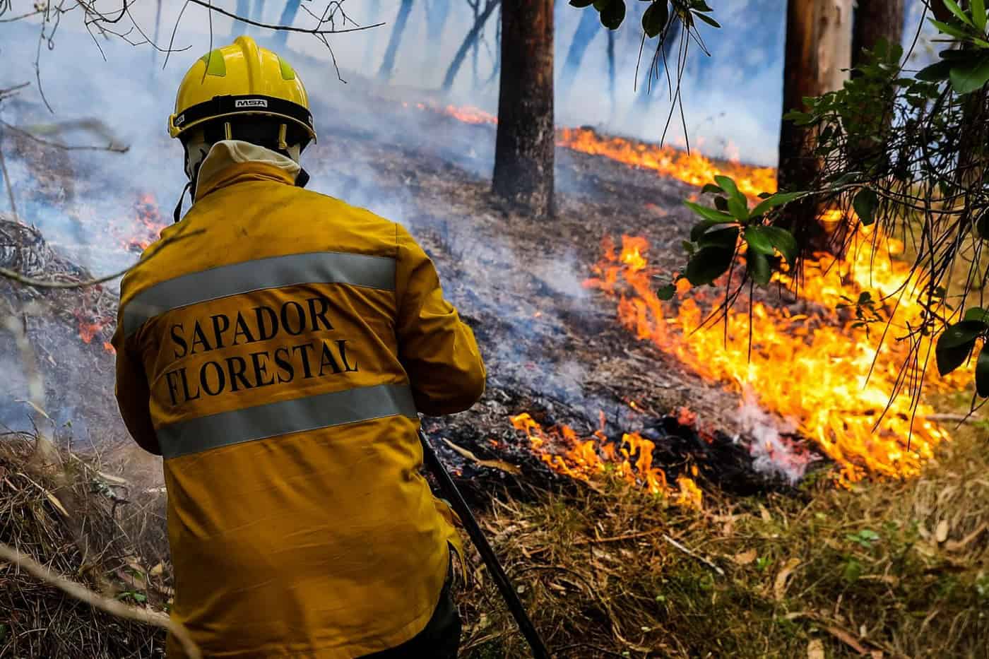 Incêndios: manhã mais calma em Portugal
