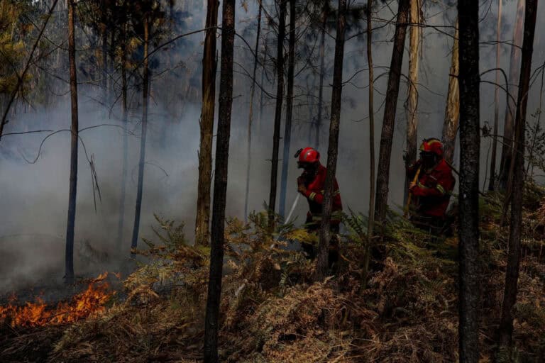 Risco de incêndio vai "baixar de forma significativa sobretudo no litoral"