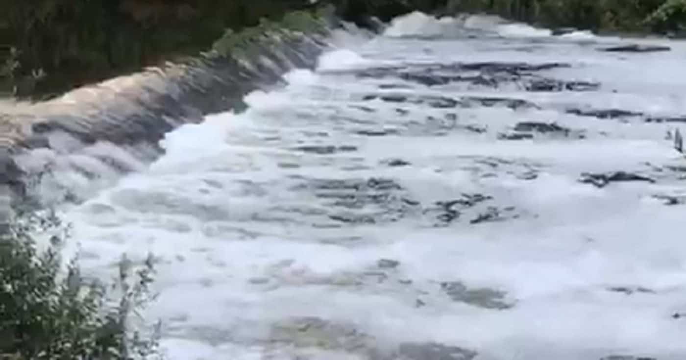 PAN Famalicão quer mais ação para travar poluição do Rio Ave