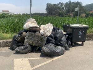Cerca de uma tonelada e meia de resíduos recolhida no Rio Este