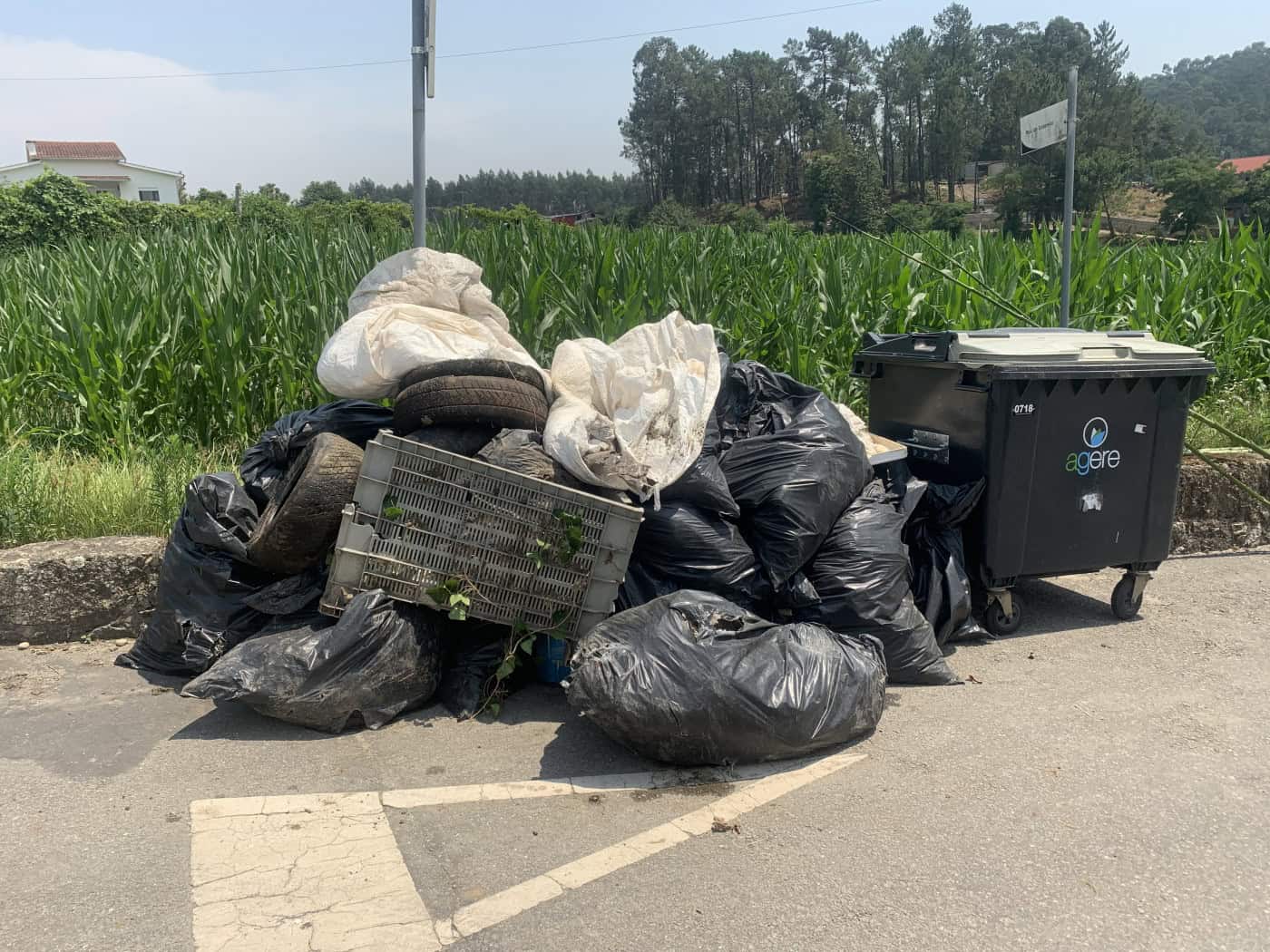 Cerca de uma tonelada e meia de resíduos recolhida no Rio Este