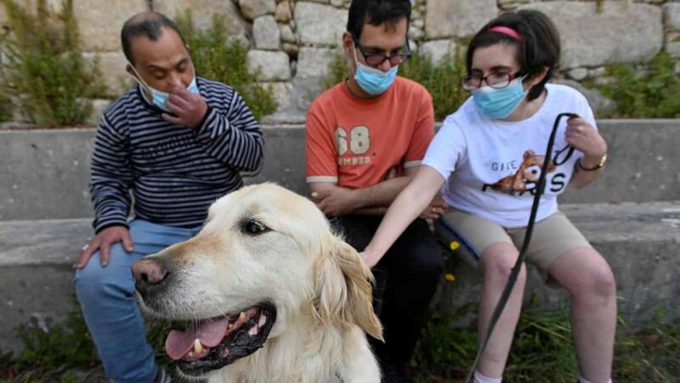 Quatro em dez alunos com necessidades especiais não têm apoio direto especializado