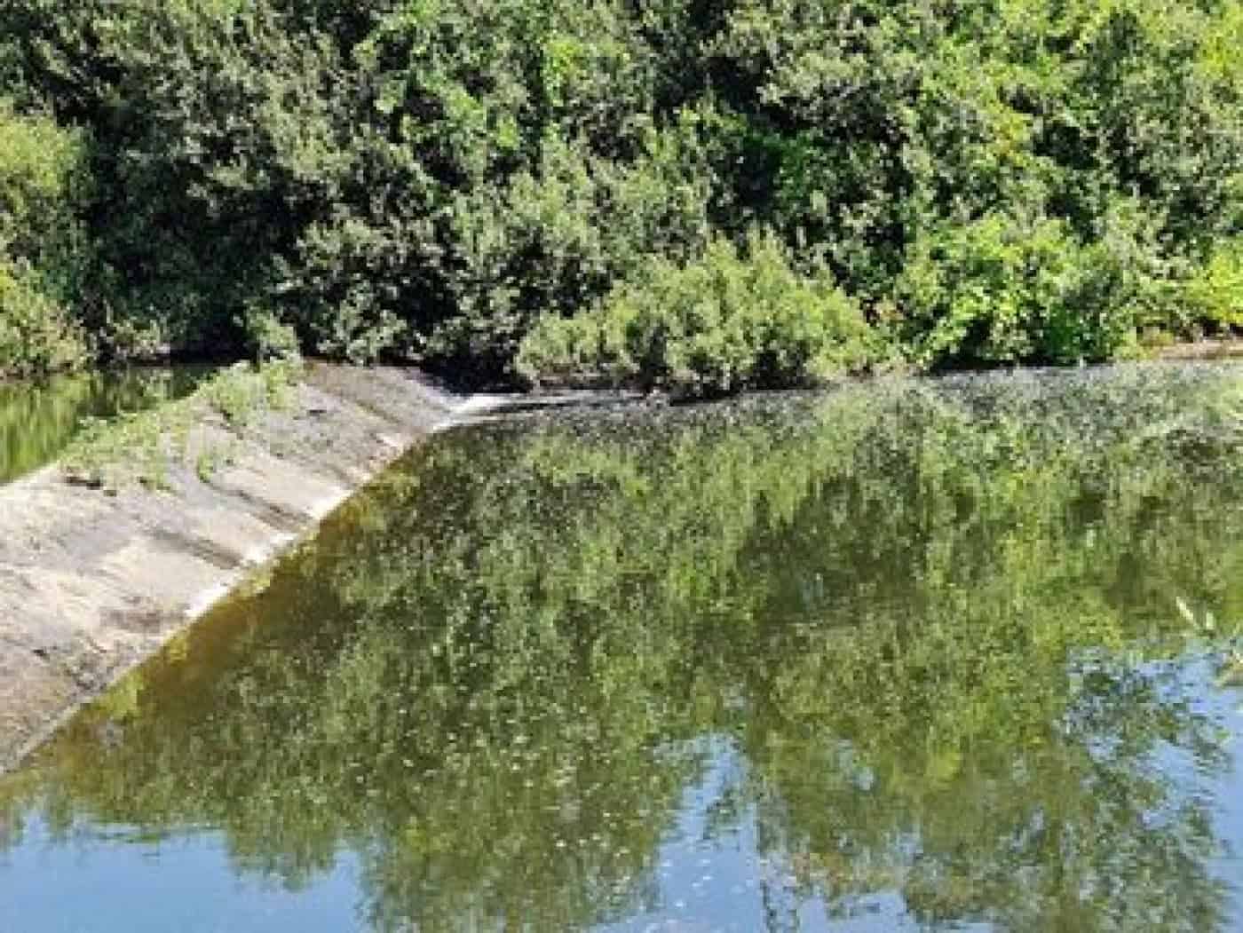 BE questiona Governo sobre descargas poluentes no Rio Ave, na zona de Pedome em Famalicão