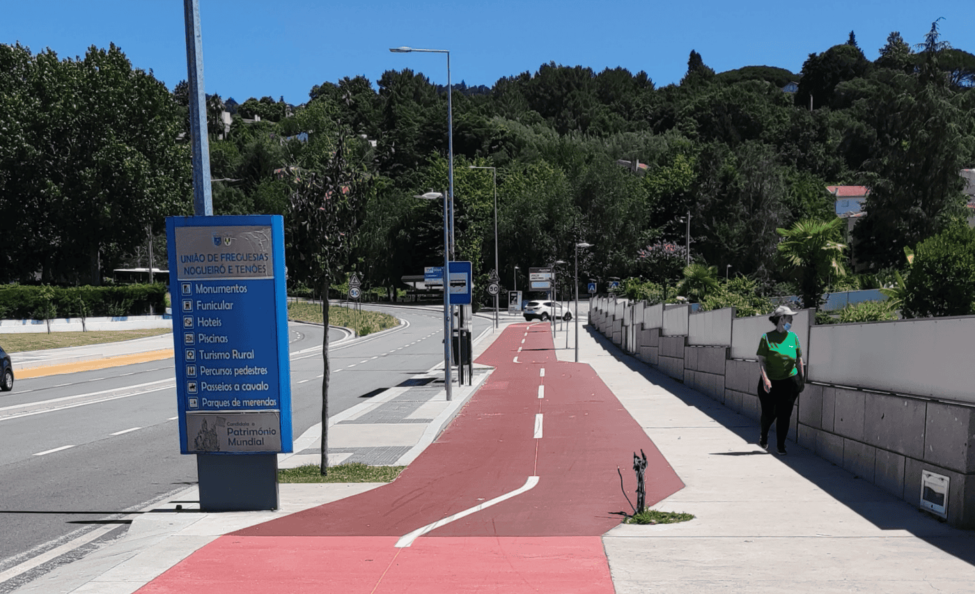 Movimento define 25 de julho como Dia de Luta pela Defesa das Árvores de Braga