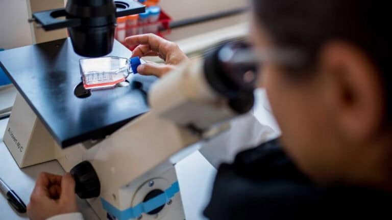 FCT atribui 400 contratos a investigadores doutorados em investimento superior a 120 ME&nbsp;