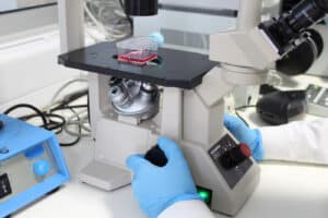 ​Portugal abaixo da média europeia na mobilização de verbas para investigação&nbsp;