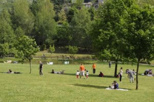 Piquenique em Guimarães junta cuidadores informais, familiares e amigos