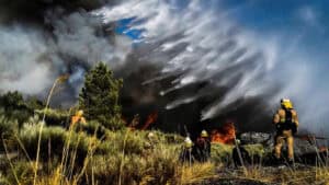 Proteção Civil espera dominar fogo na Serra da Estrela nos próximos dois dias 