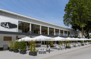 Azeituna celebra juventude no Mercado Municipal de Braga