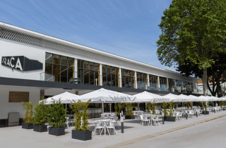 Azeituna celebra juventude no Mercado Municipal de Braga