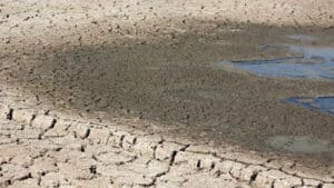 Bruxelas estima Península Ibérica com “condições mais secas do que habitual” até novembro 