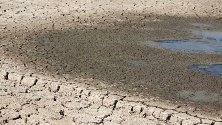 Bruxelas estima Península Ibérica com “condições mais secas do que habitual” até novembro&nbsp;
