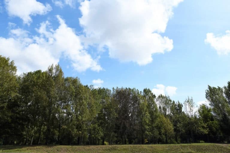 PAN acusa município de Famalicão de não ter “sensibilidade ambiental”