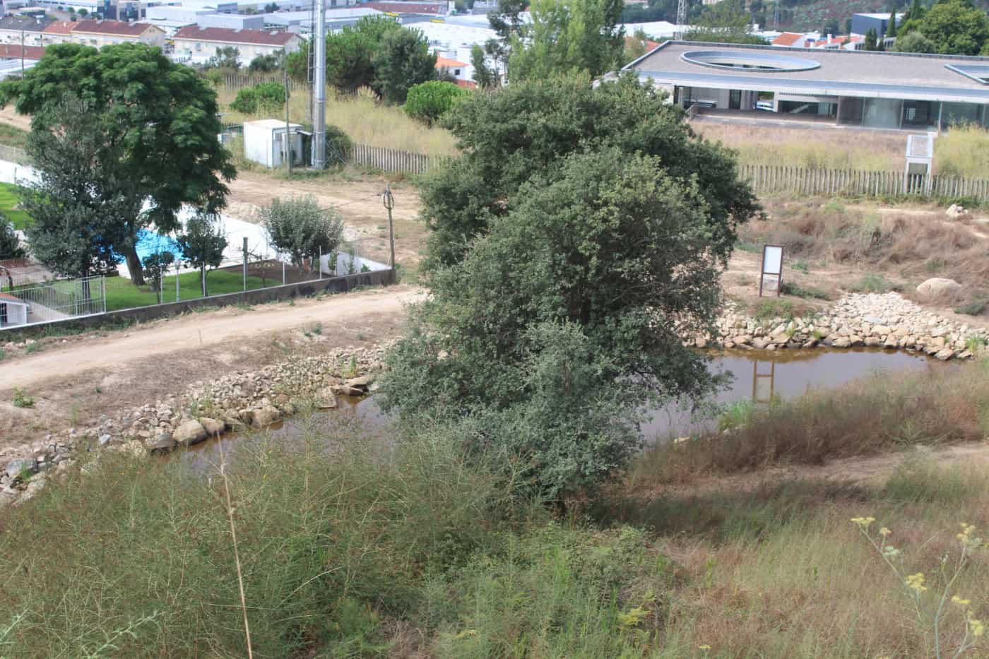 Charco atrai cada vez mais espécies para a zona do Picoto