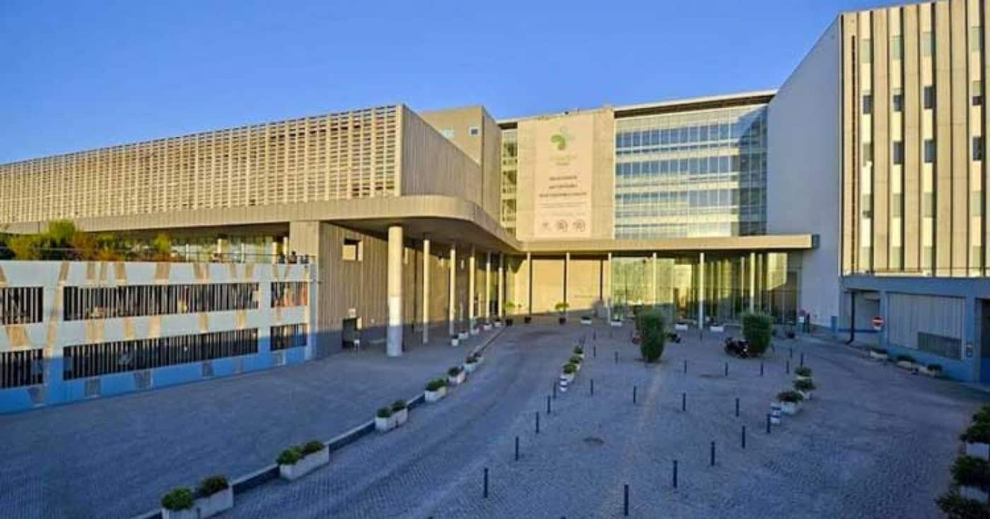 Hospital de Braga promove simpósio relacionado com Dia Mundial da Fisioterapia
