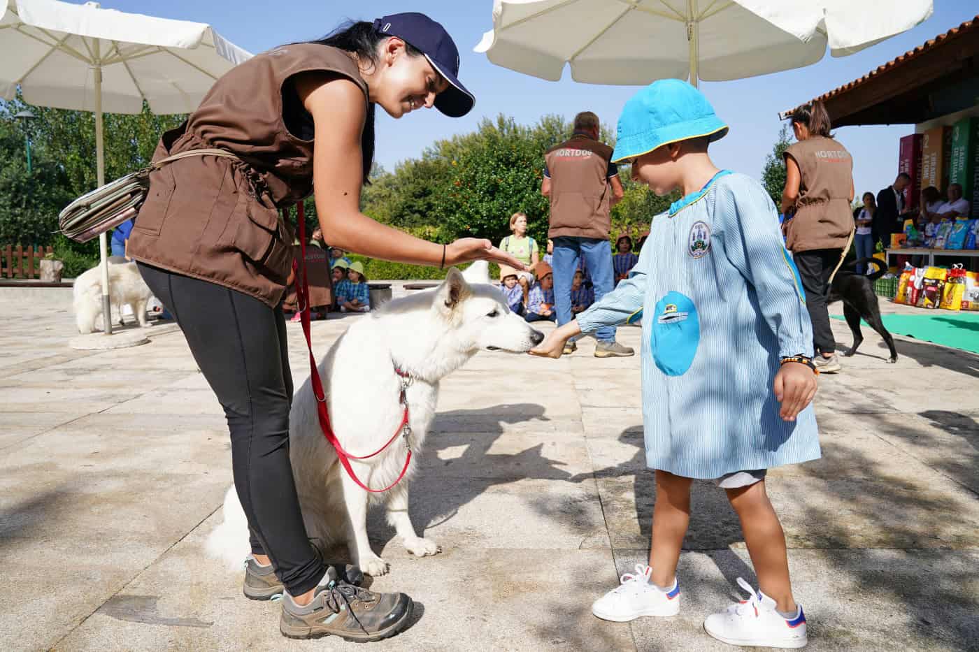 Câmara de Braga espera anunciar Provedor do Animal “nos próximos dias”