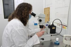 Investigação na UMinho está "estagnada". Denúncia partiu do ICVS