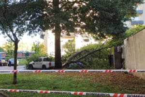 Queda de parte de uma árvore provoca danos em viaturas junto ao Tribunal de Braga