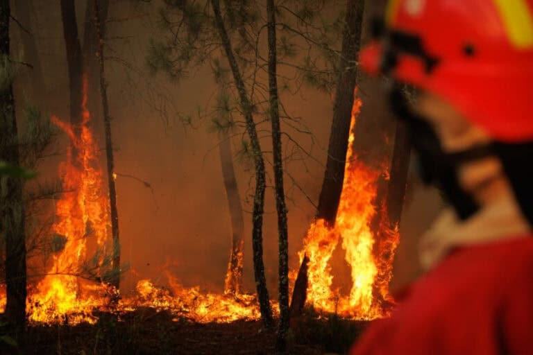 Incêndios. GNR deteve 72 pessoas, o valor mais elevado dos últimos cinco anos