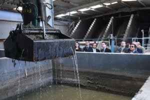 Agere autorizada a arrancar com construção da ETAR do Este