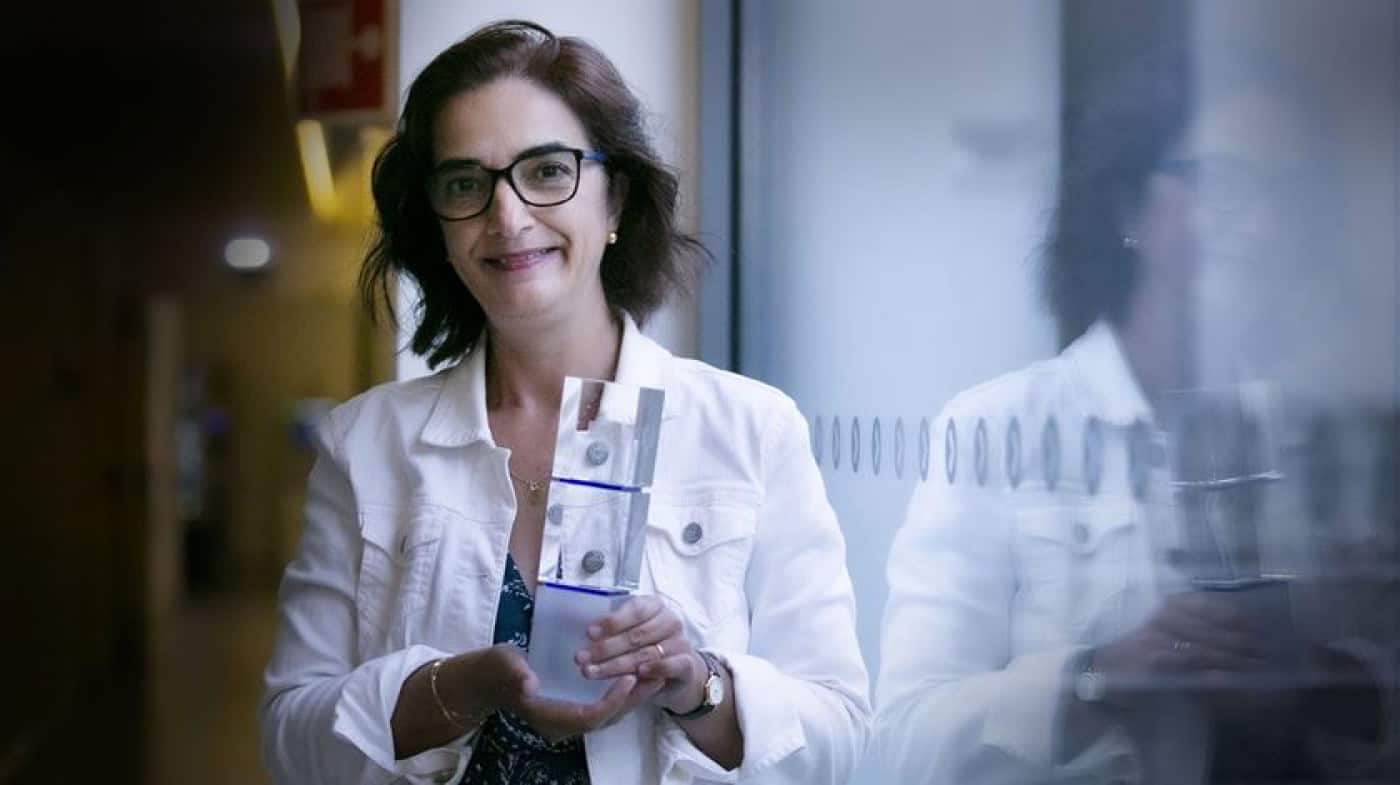 “Doutorados têm de contribuir para a economia”, avisa Elvira Fortunato