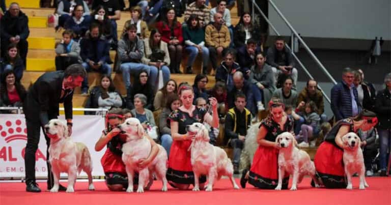Caninos, felinos e animais exóticos 'invadem' Altice Forum Braga