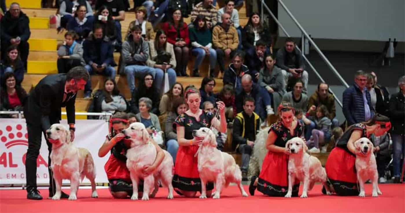 Caninos, felinos e animais exóticos 'invadem' Altice Forum Braga