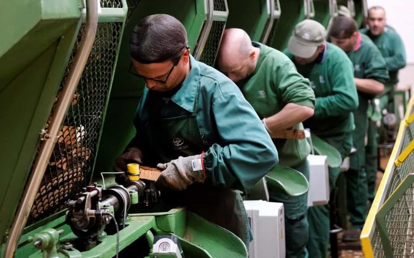 Um quarto dos desempregados encontraram emprego. Mais homens do que mulheres