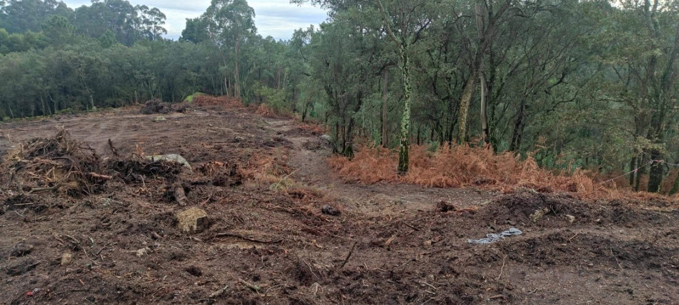 CDU acusa a Câmara de Famalicão e Governo de falta de "transparência"