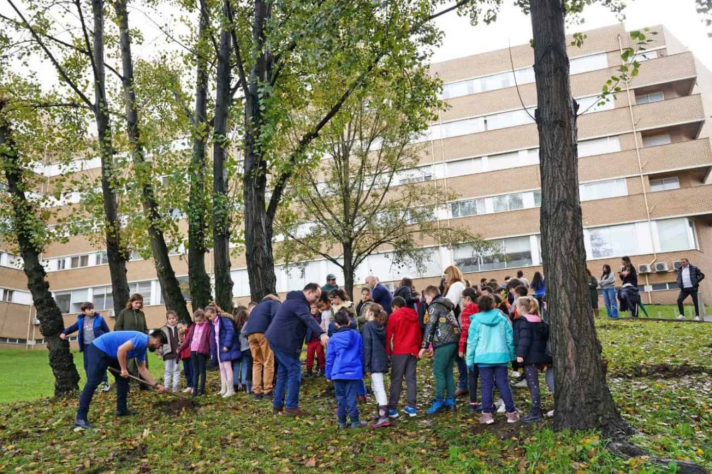 Município de Braga cria novas microflorestas em sete zonas da cidade