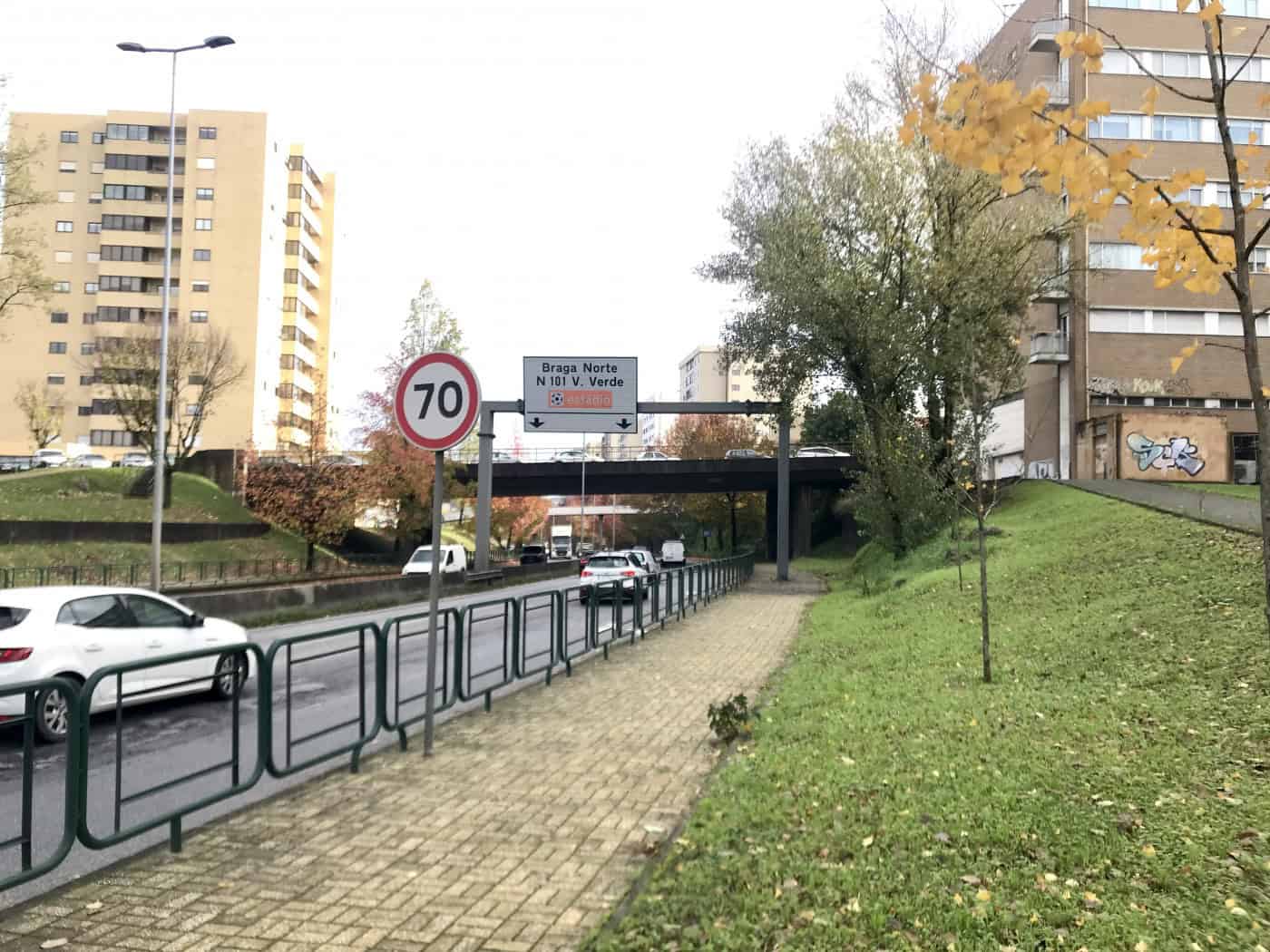 IP deve avançar para remoção de mais árvores na Avenida António Macedo