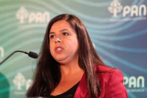 "É lamentável que a transição energética tenha de passar pela destruição de espaços verdes"