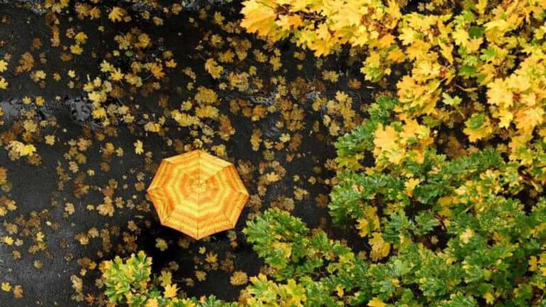 Braga é um dos oito distritos sob aviso amarelo até à passagem de ano