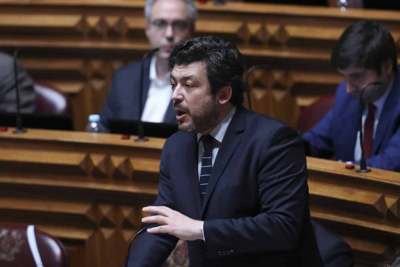 PS disposto a mexer na Constituição e na lei para tornar bem-estar animal “claro para todos”&nbsp;