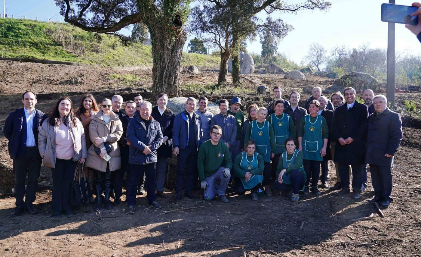 Confraria planta 5 mil árvores no Bom Jesus para criar faixa de proteção contra incêndios