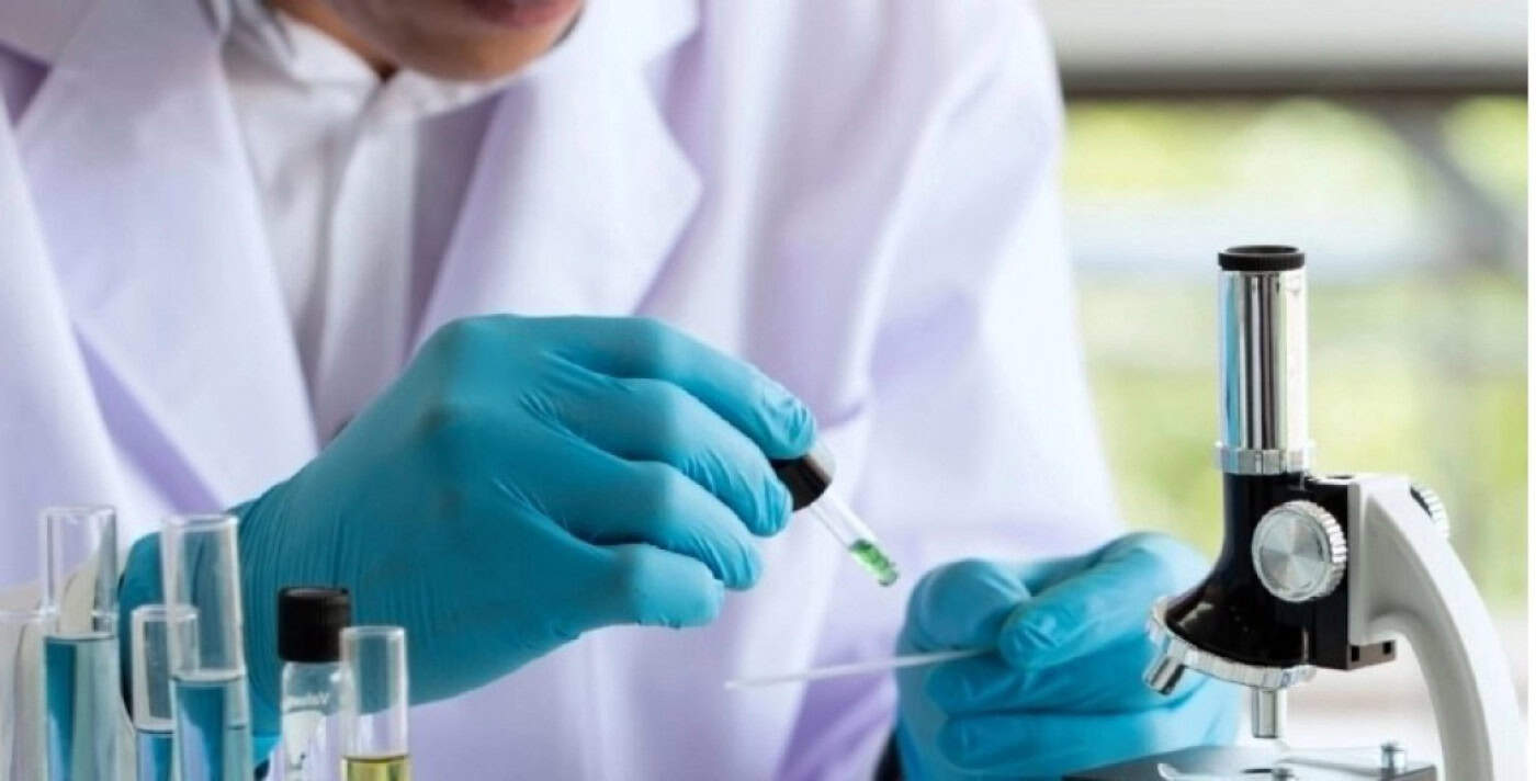 Duas investigadoras da UMinho premiadas pela Liga Portuguesa Contra o Cancro