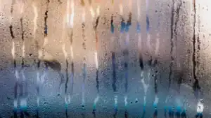 Dez distritos sob aviso amarelo devido ao tempo frio e queda de neve&nbsp;