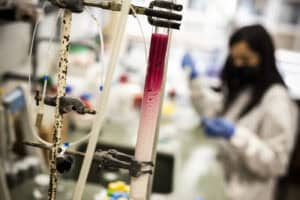 MIT Portugal vai atribuir dez bolsas de doutoramento na área do Clima e Alterações Climáticas